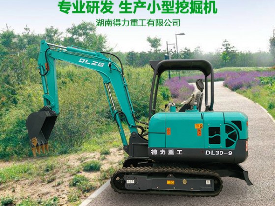 DL30-9小型挖掘機(jī)